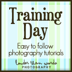 Training Day Button Training Day
